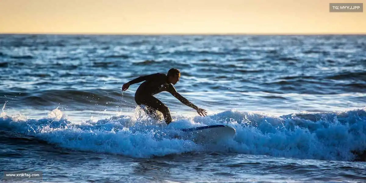 行业领先的理由