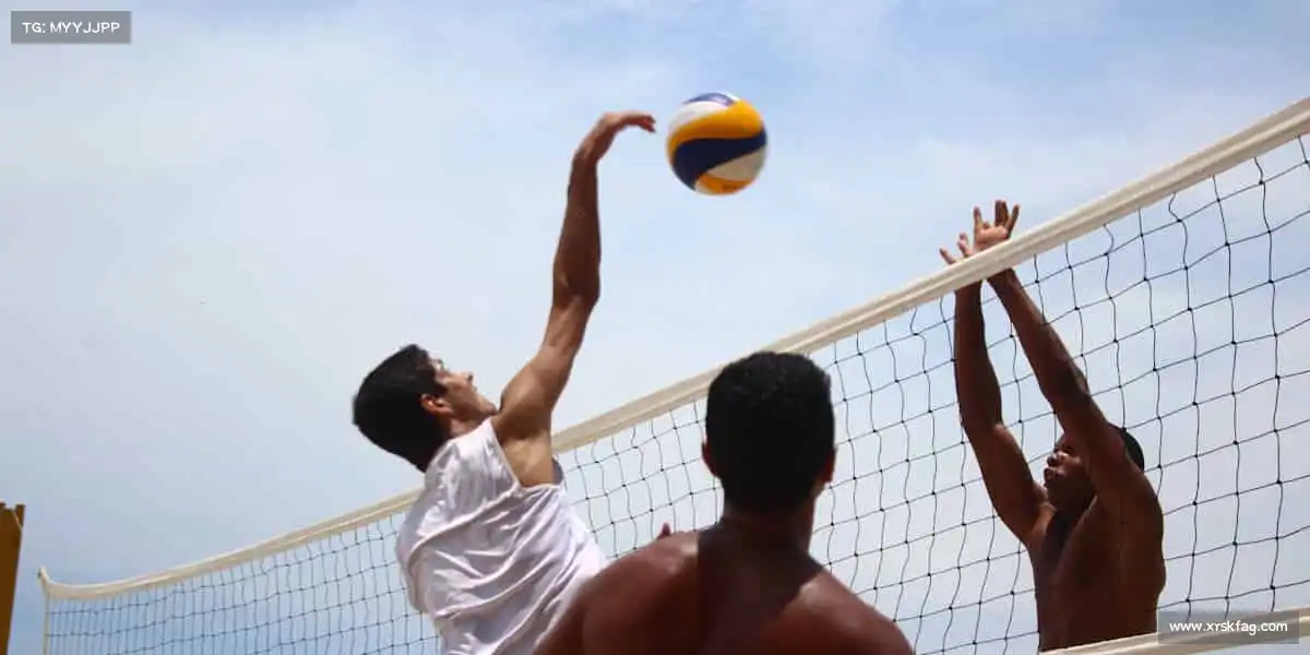 我们的品牌价值